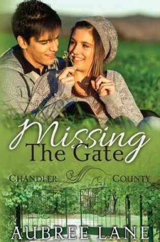 Cover of Missing the Gate (A Chandler County Novel)