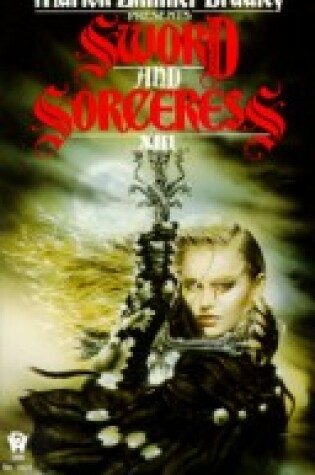 Cover of Sword And Sorceress Xiii