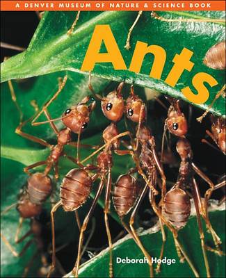 Cover of Ants