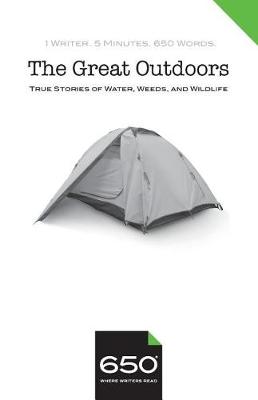 Book cover for 650 The Great Outdoors