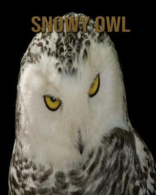 Book cover for Snowy owl