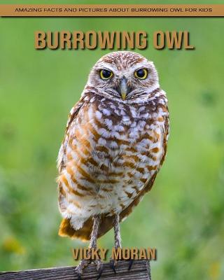 Book cover for Burrowing Owl