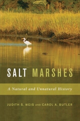 Cover of Salt Marshes