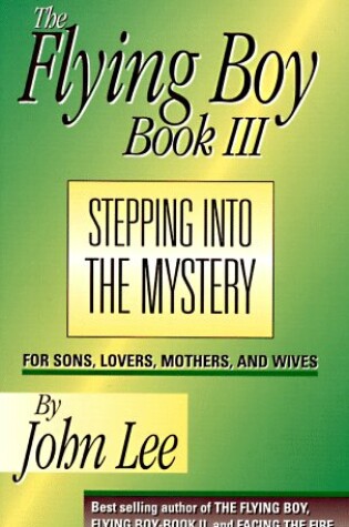 Cover of Stepping Into the Mystery
