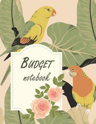 Book cover for Budget notebook