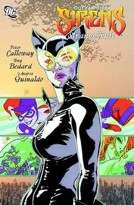 Book cover for Gotham City Sirens