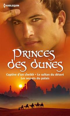 Book cover for Princes Des Dunes