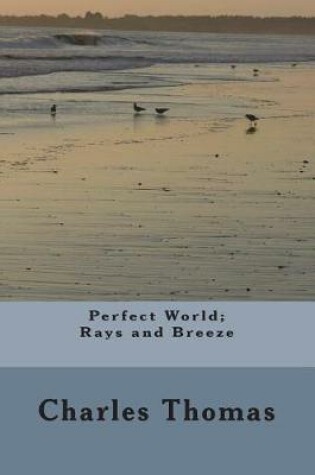 Cover of Perfect World