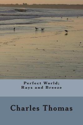 Book cover for Perfect World