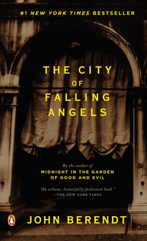 Book cover for The City of Falling Angels