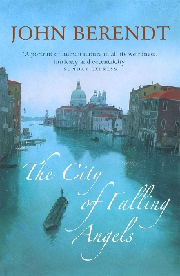 Book cover for The City of Falling Angels