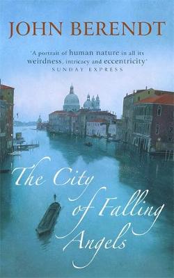 Book cover for The City of Falling Angels