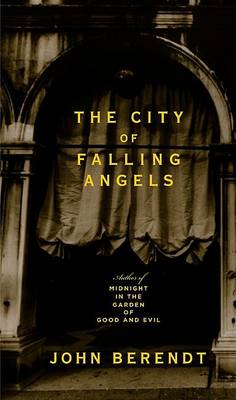 Book cover for The City of Falling Angels