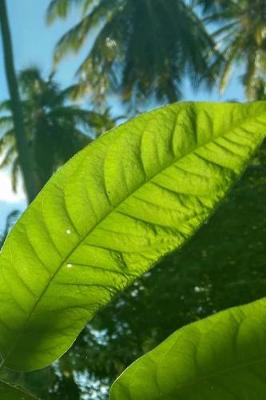 Book cover for Sunlight on Bright Green Leaves Tropical Plant Journal