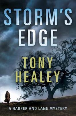 Book cover for Storm's Edge