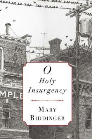 Cover of O Holy Insurgency