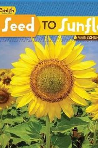 Cover of From Seed to Sunflower