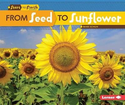 Book cover for From Seed to Sunflower