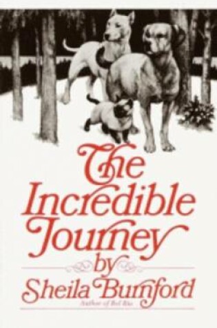 Cover of Incredible Journey