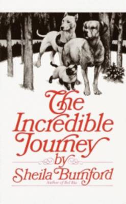 Book cover for Incredible Journey