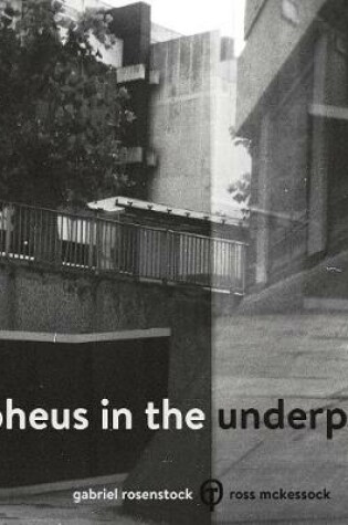 Cover of Orpheus in the Underpass