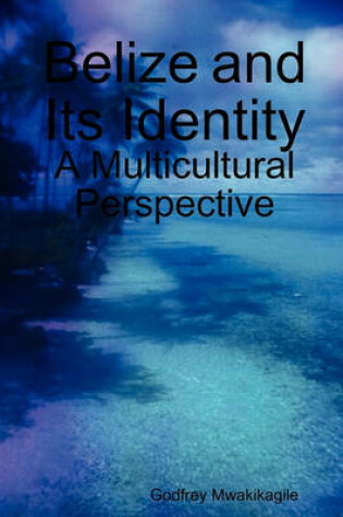 Cover of Belize and Its Identity