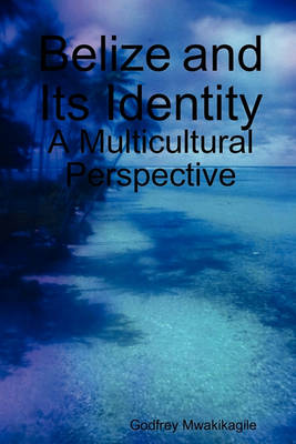 Book cover for Belize and Its Identity