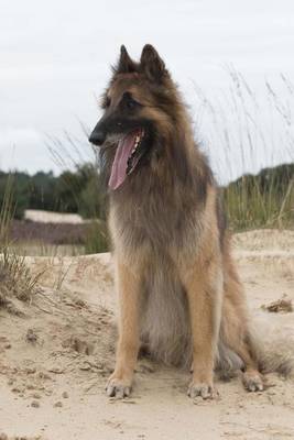 Book cover for The Belgian Tervuren Dog Journal