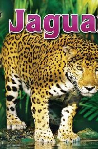 Cover of Jaguar