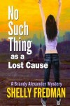 Book cover for No Such Thing as a Lost Cause