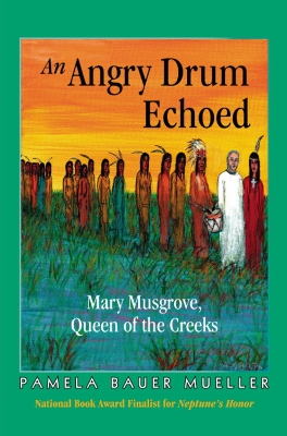 Book cover for An Angry Drum Echoed