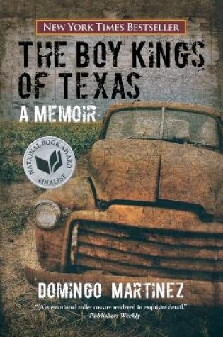 Cover of Boy Kings of Texas