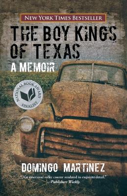 Book cover for Boy Kings of Texas