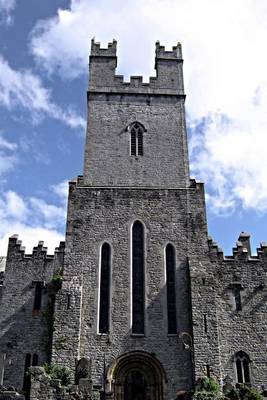 Book cover for St Mary's Cathedral Limerick Ireland Journal