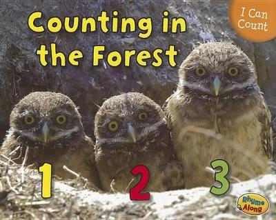 Book cover for I Can Count Counting in the Forest