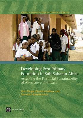 Book cover for Developing Post-Primary Education in Sub-Saharan Africa