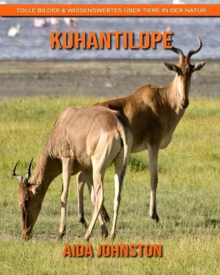 Book cover for Kuhantilope