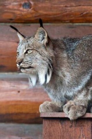 Cover of Canadian Lynx Portrait Journal