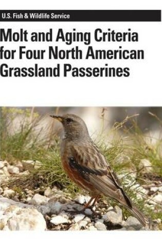 Cover of Molt and Aging Criteria for Four North American Grassland Passerines