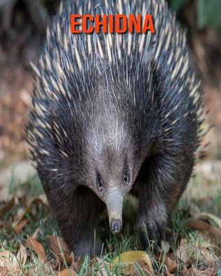 Book cover for Echidna