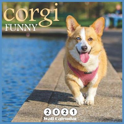 Book cover for FUNNY corgi