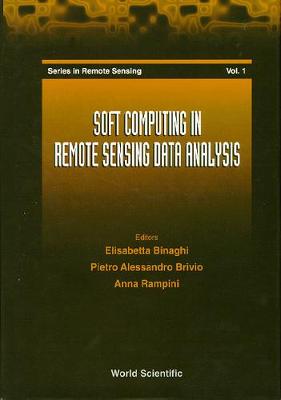 Cover of Soft Computing In Remote Sensing Data Analysis - Proceedings Of The International Workshop