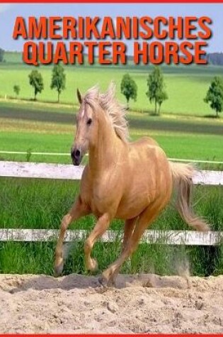 Cover of Amerikanisches Quarter Horse