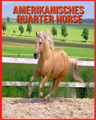 Book cover for Amerikanisches Quarter Horse