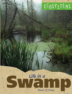 Book cover for Life in a Swamp