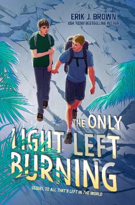 Book cover for The Only Light Left Burning