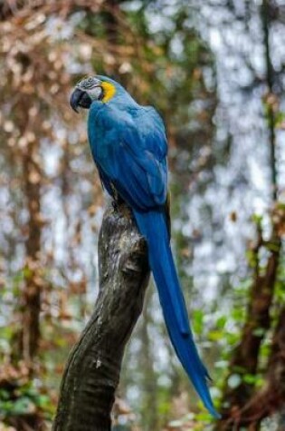 Cover of A Wild Blue and Gold Macaw Journal