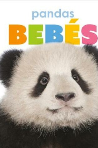 Cover of Pandas Beb�s