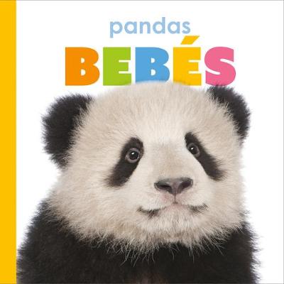 Book cover for Pandas Beb�s