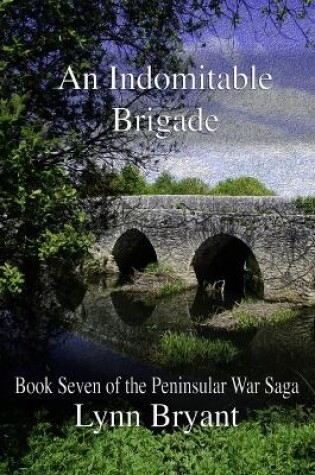 Cover of An Indomitable Brigade